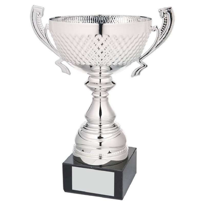 Silver Presentation Cup With Handles 300mm – Silver