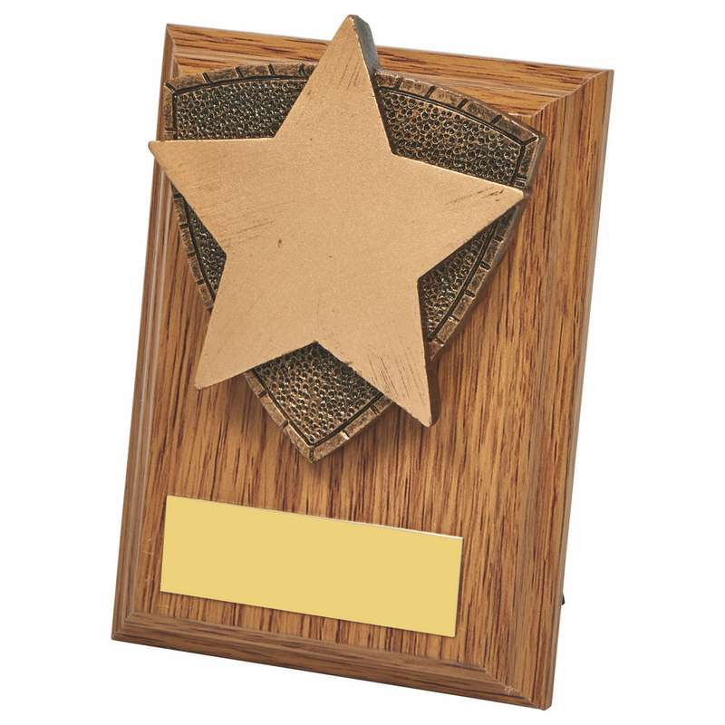 Wood Plaque with Resin Star Trim 100mm – Light Oak