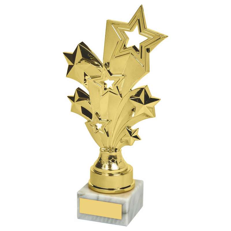 Gold Stars Achievement Trophy 220mm – Gold