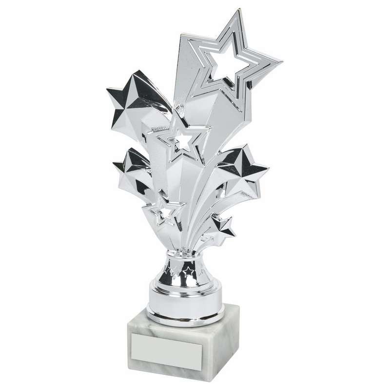 Silver Stars Achievement Trophy 220mm – Silver