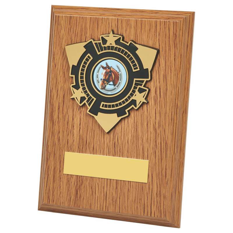 Light Oak Wood Plaque Award 150mm – Light Oak
