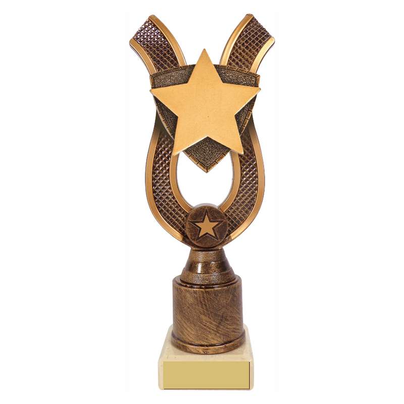 Antique Gold Ribbon Award with Resin Star Trim 180mm – Ant Gold