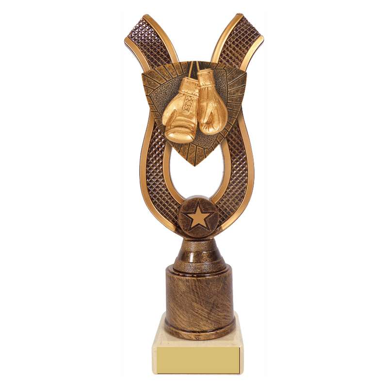 Antique Gold Ribbon Award with Resin Boxing Trim 180mm – Ant Gold