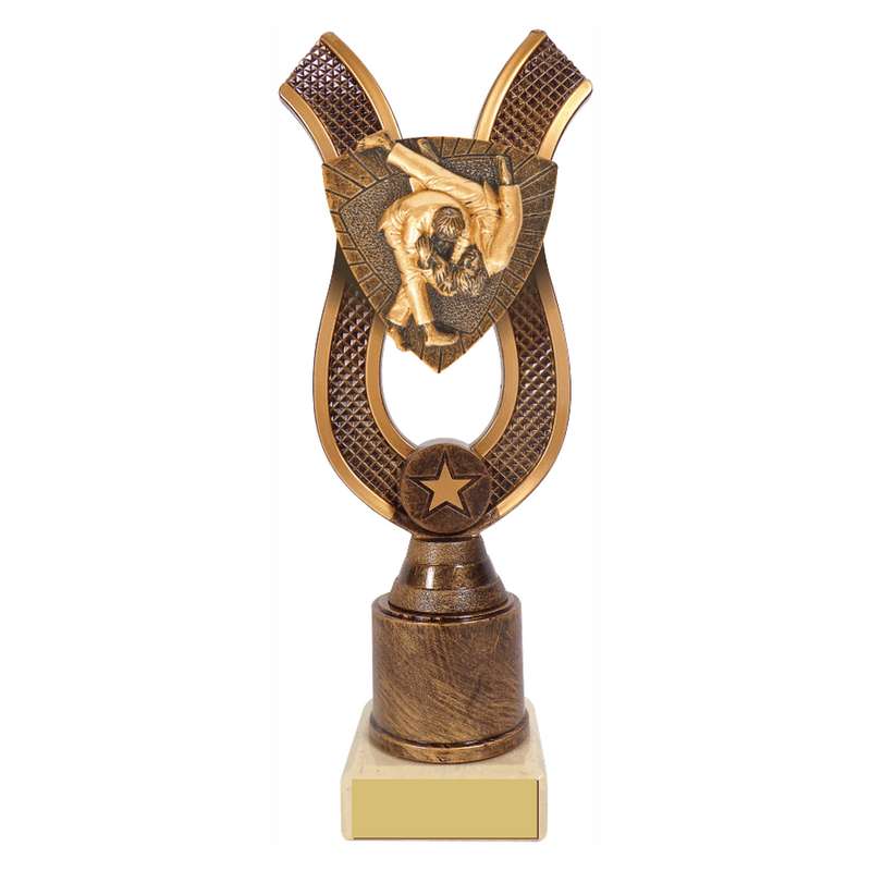 Antique Gold Ribbon Award with Resin Judo Trim 180mm – Ant Gold