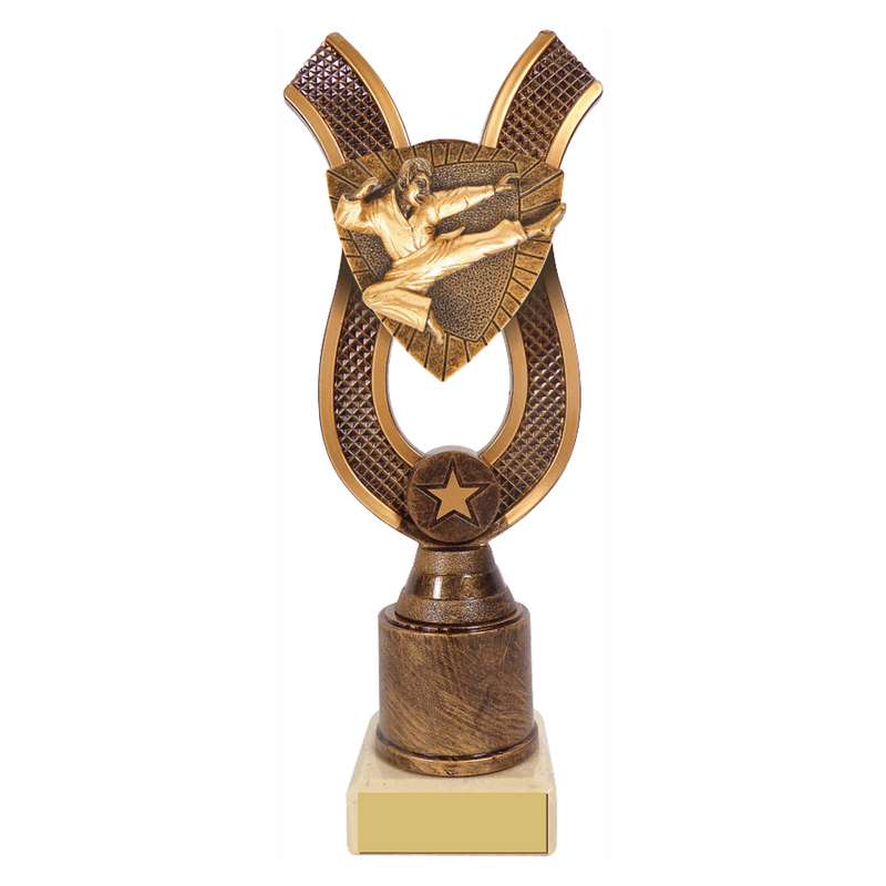 Antique Gold Ribbon Award with Resin Karate Trim 180mm – Ant Gold