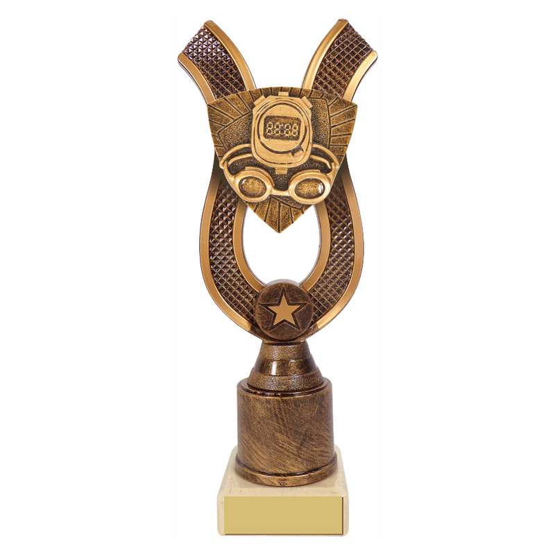 Antique Gold Ribbon Award with Resin Swimming Trim 180mm – Ant Gold