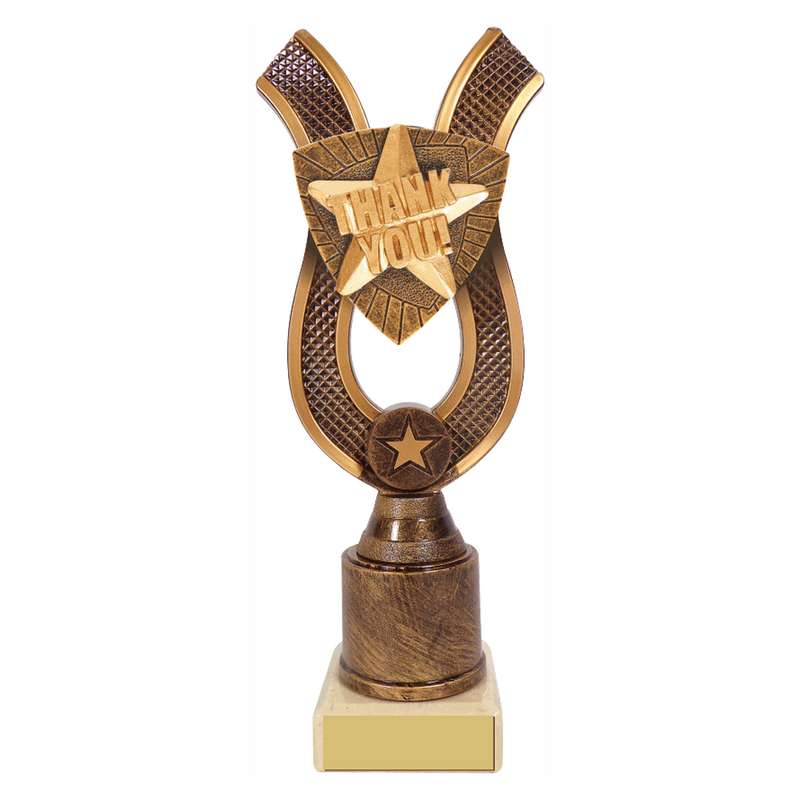Antique Gold Ribbon Award with Resin Thank You Trim 180mm – Ant Gold