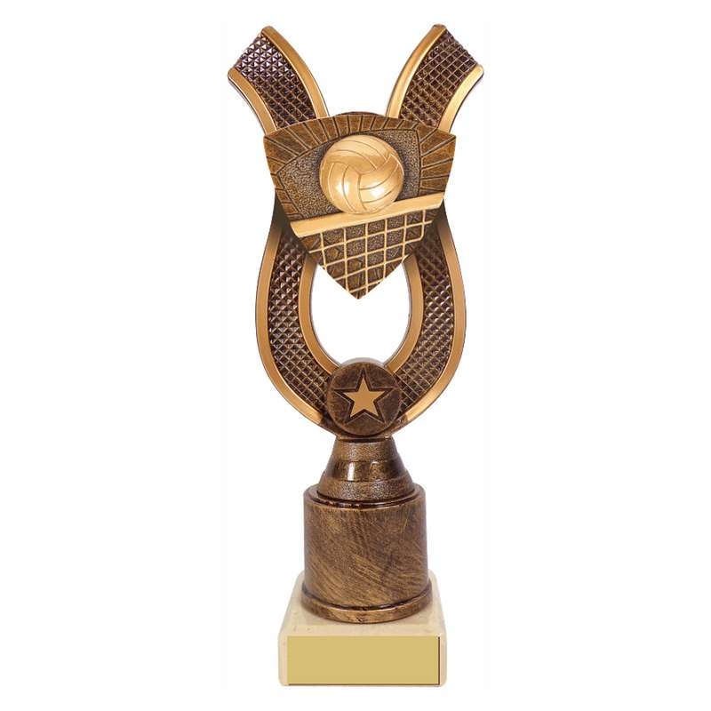 Antique Gold Ribbon Award with Resin Volleyball Trim 180mm – Ant Gold