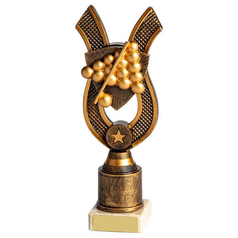 Antique Gold Award with Resin Snooker/Pool Trim 220mm – Ant Gold