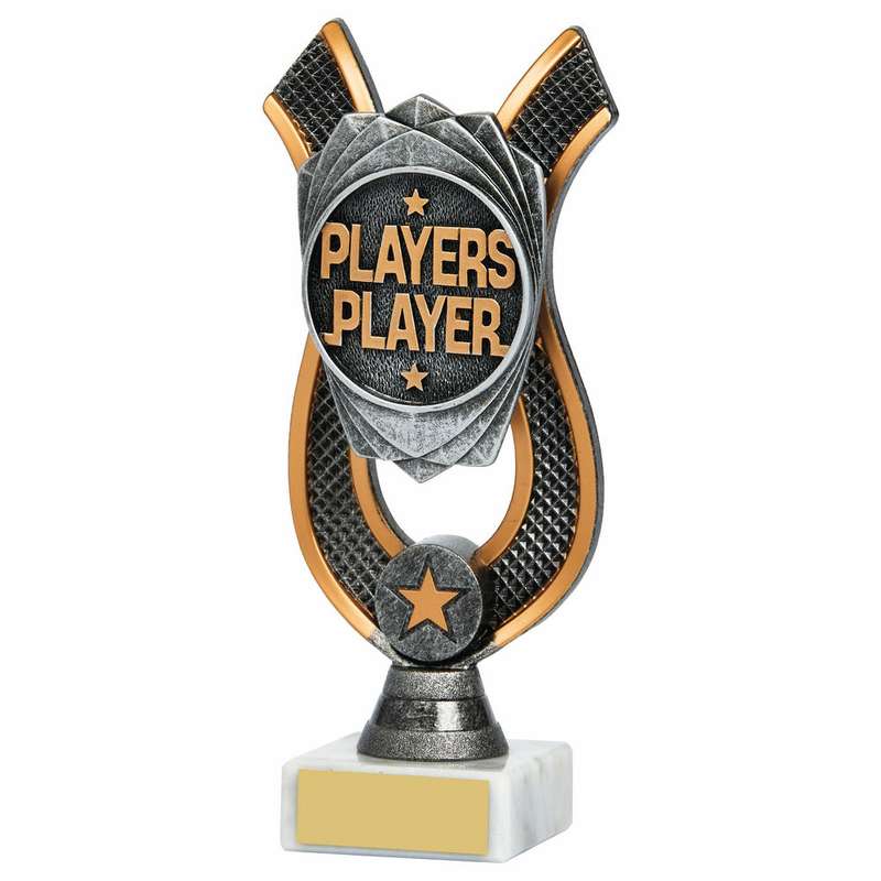 Players Player Award 180mm – Ant Silver