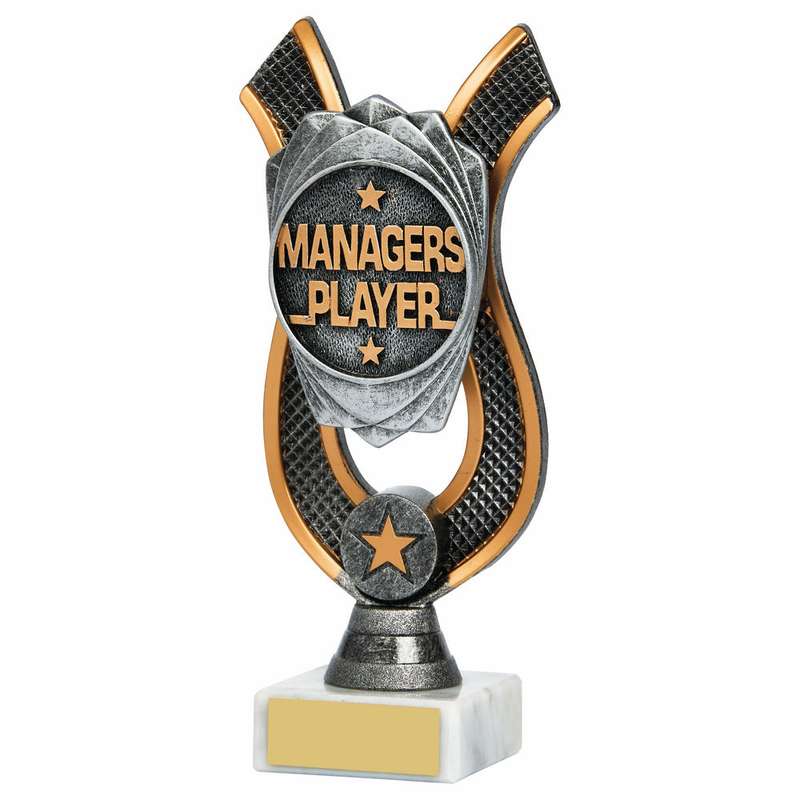 Managers Player Award 180mm – Ant Silver