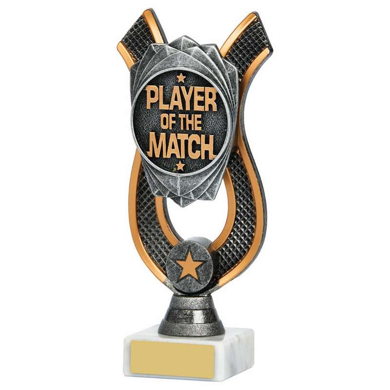 Player of the Match Award 180mm – Ant Silver