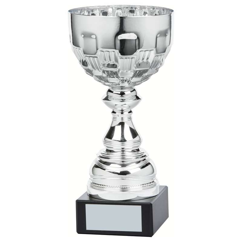 Silver Bowl Award Cup 250mm – Silver