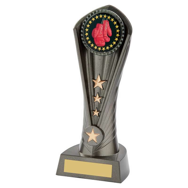 Gun Metal Silver “Cobra” Boxing Award 210mm – Ant Silver