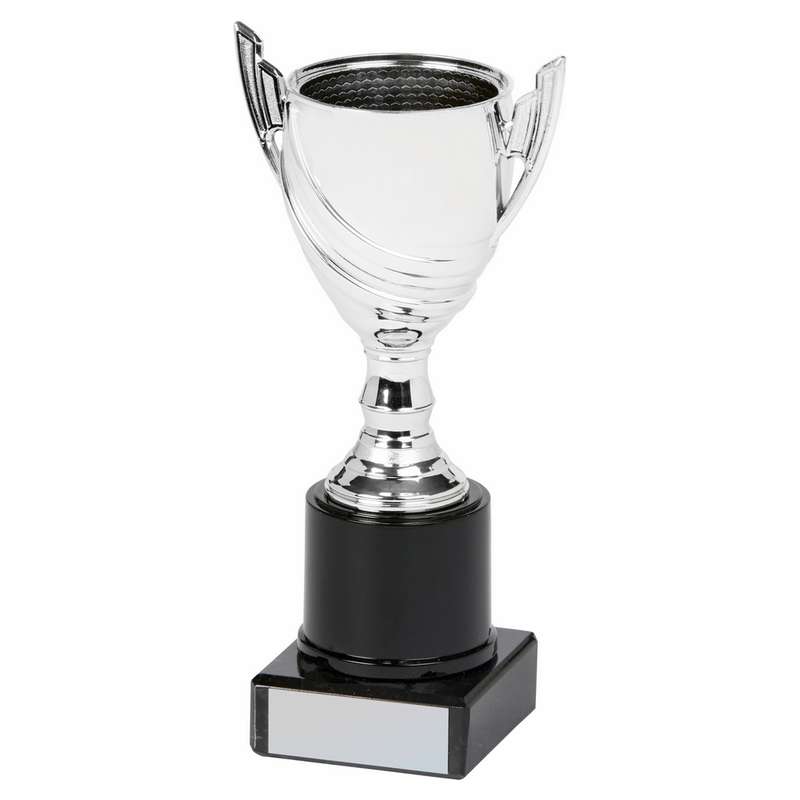 Silver Cup Award 170mm – Silver