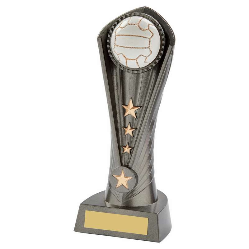 Gun Metal Silver “Cobra” Netball Award 210mm – Ant Silver