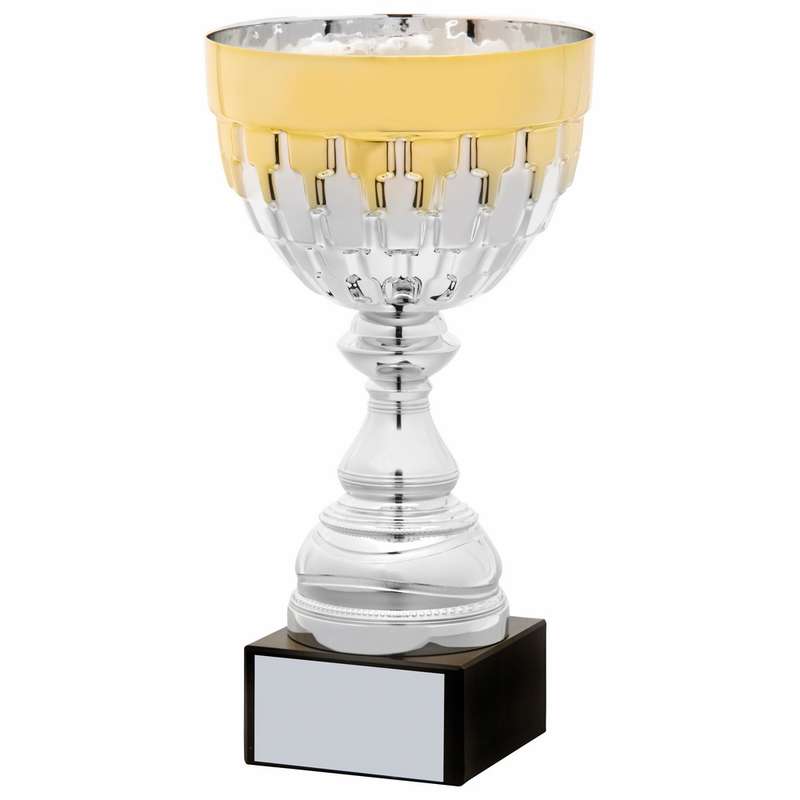 Silver and Gold Cup 305mm – Silver/Gold