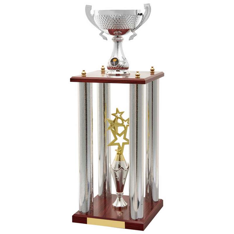 Stunning Showstopper Award 650mm – Silver