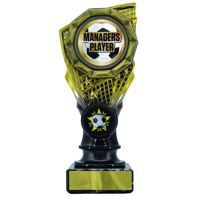 Shard Holder Trophy with Managers Player Trim 150mm – Gold/Black