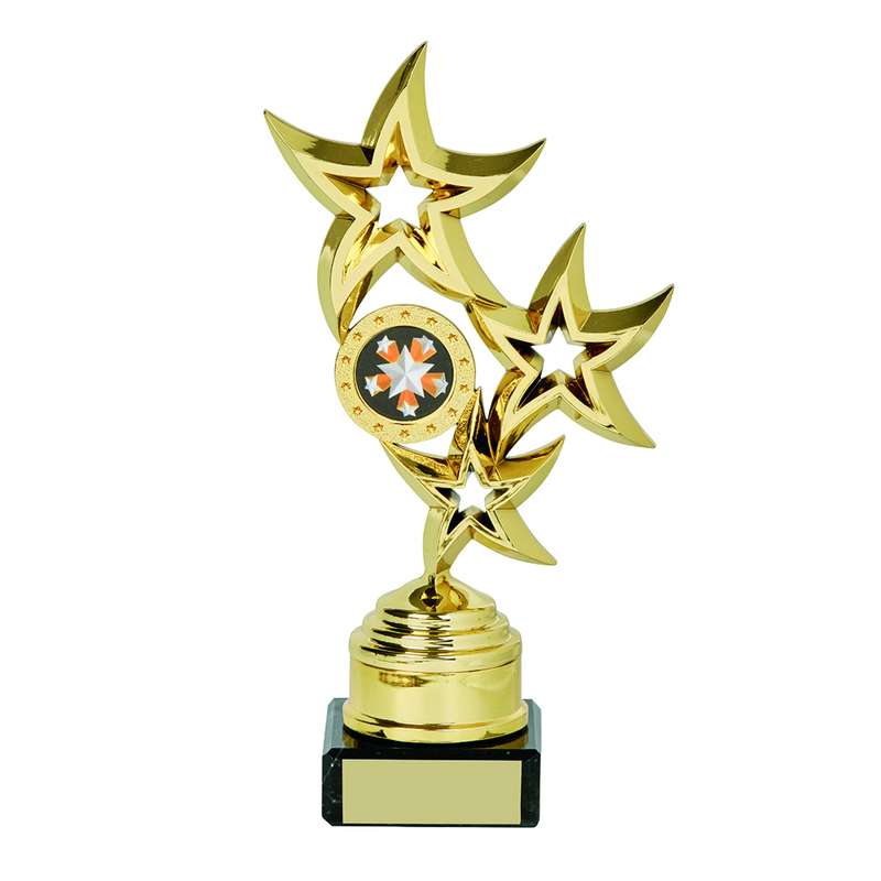 Gold Star Trophy 195mm – Gold