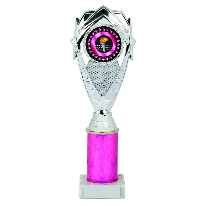 Silver/Pink Tube Award 265mm – Silver/Pink