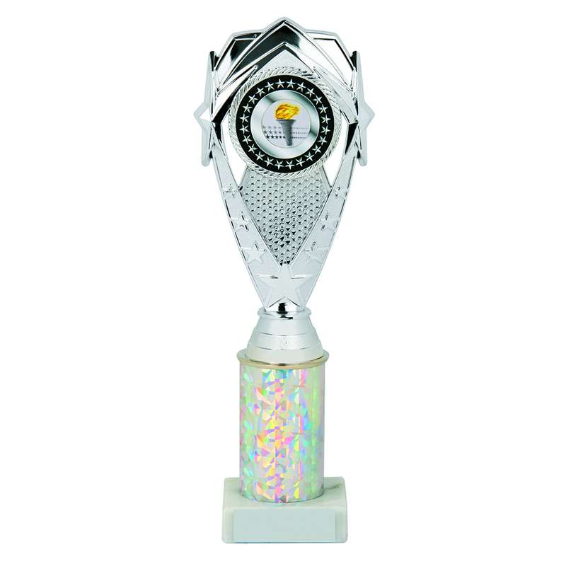 Silver Tube Award 265mm – Silver