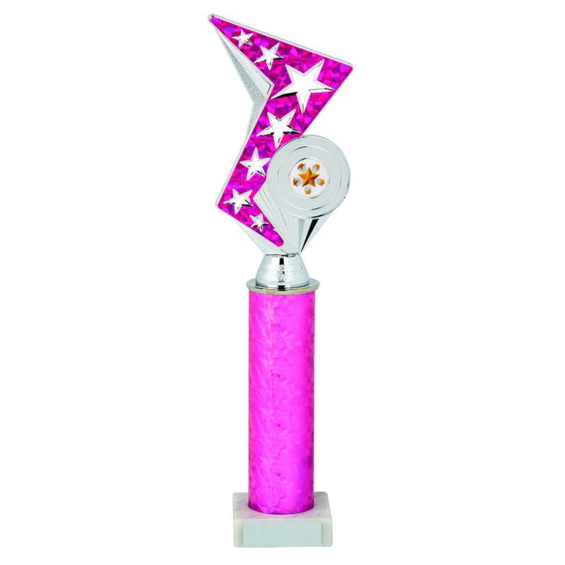 Silver/Pink Zig Zag Holder Award 345mm – Pink