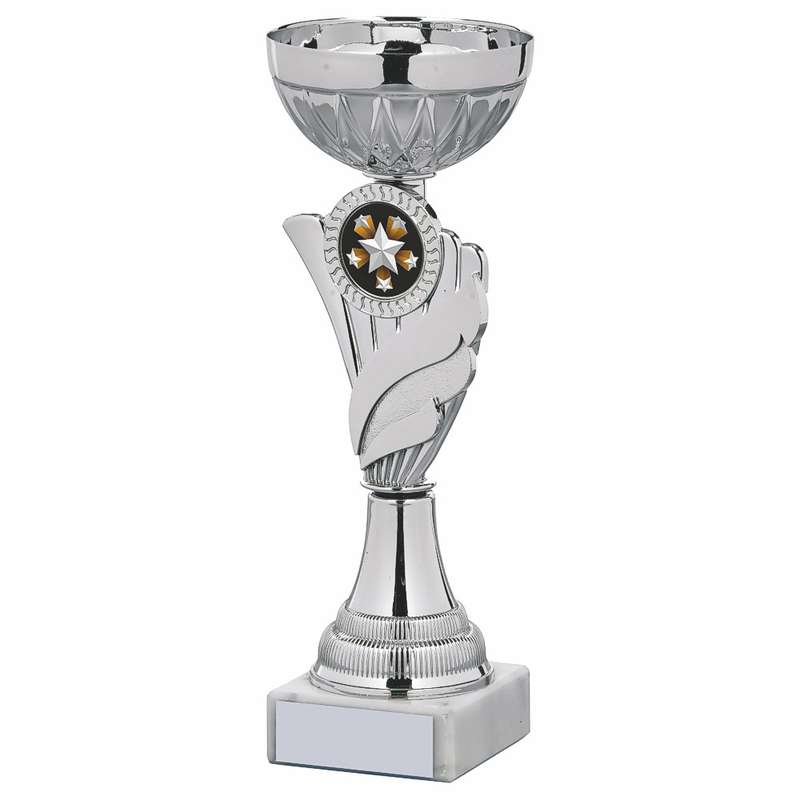 Silver Bowl Award Cup 275mm – Silver