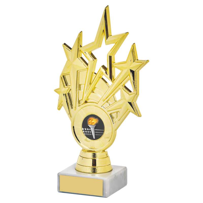 Gold Star Holder/Gold Tube Award 260mm – Gold