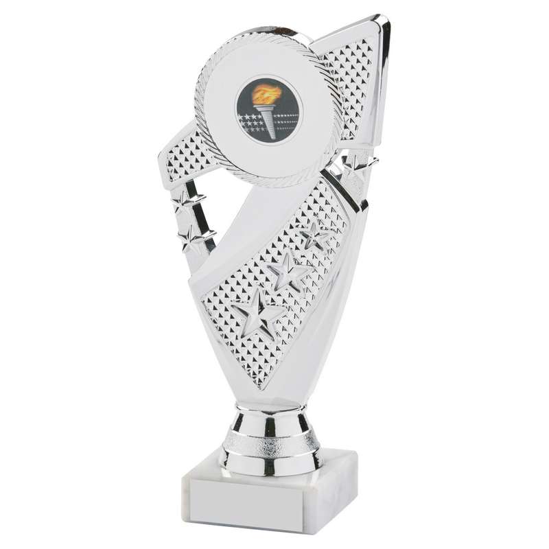 Silver Holder/Black Tube Award 270mm – Silver/Black