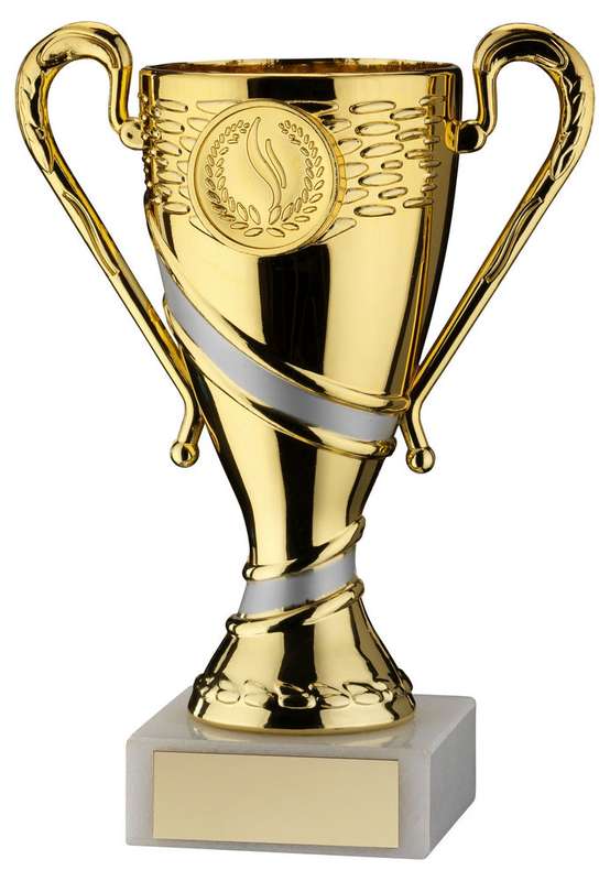 GOLD/MATT SILVER PLASTIC TROPHY CUP WITH PLATE (1in CENTRE) – 4.75in