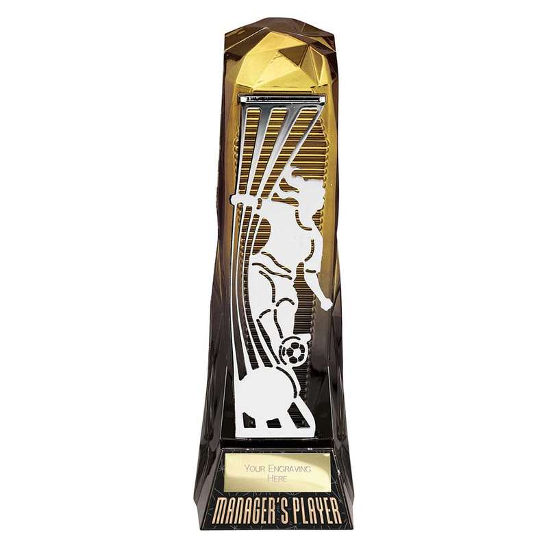 Shard Football Female Managers Player