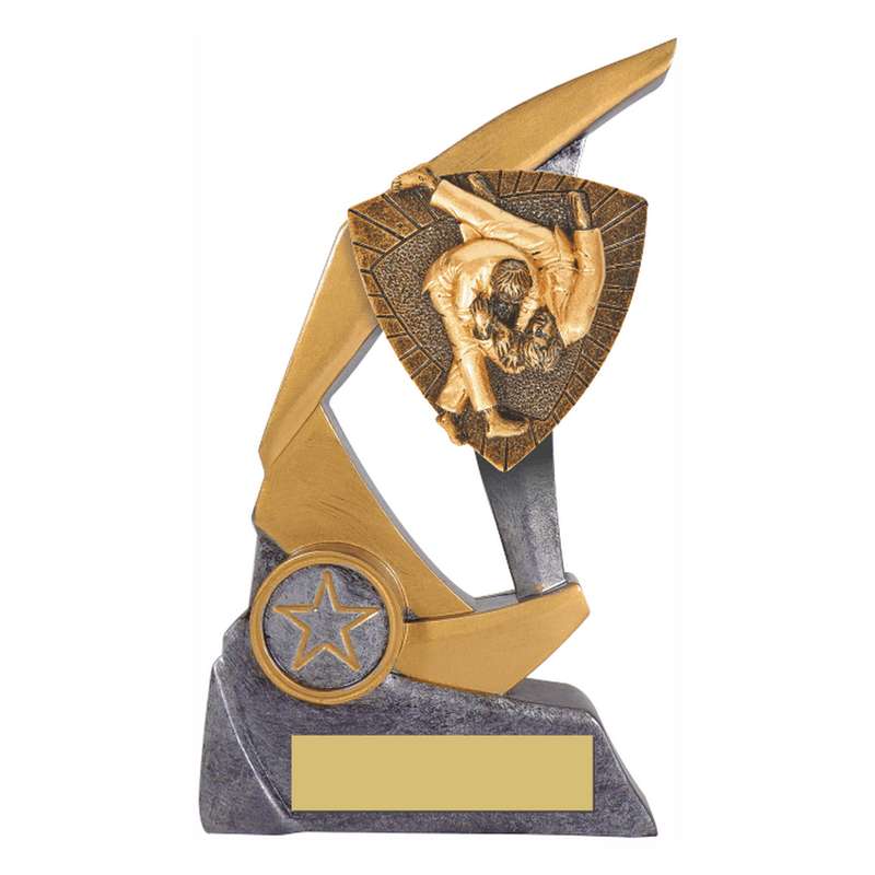 Antique Silver Resin Claw Trophy with Judo Trim 150mm – Ant Silver