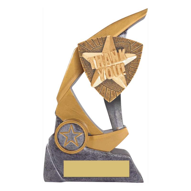 Antique Silver Resin Claw Trophy with Thank You Trim 150mm – Ant Silver