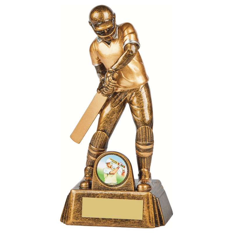 Resin Cricket Male Batsman Award 165mm – Ant Gold