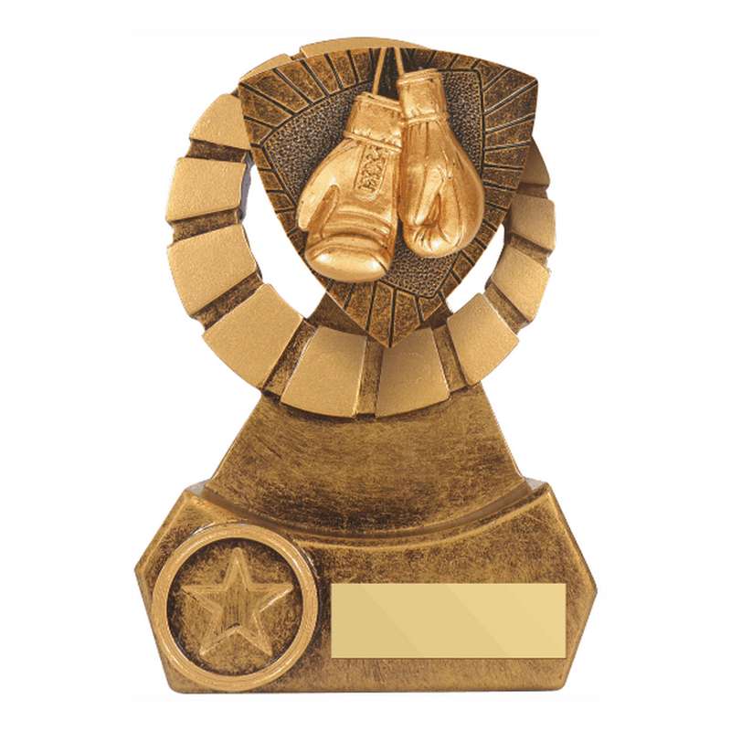 Antique Gold Resin Boxing Award 140mm – Ant Gold