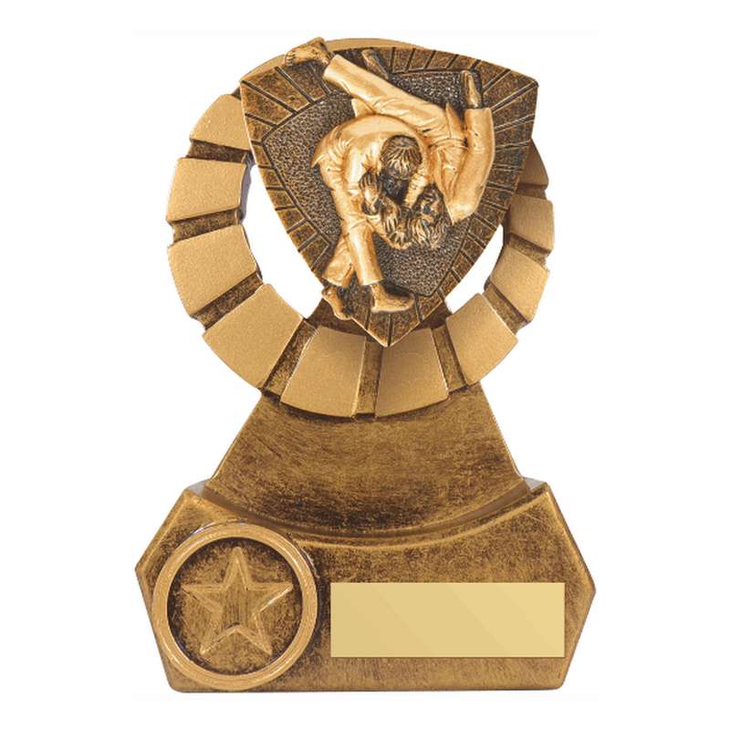 Antique Gold Resin Judo Award 140mm – Ant Gold
