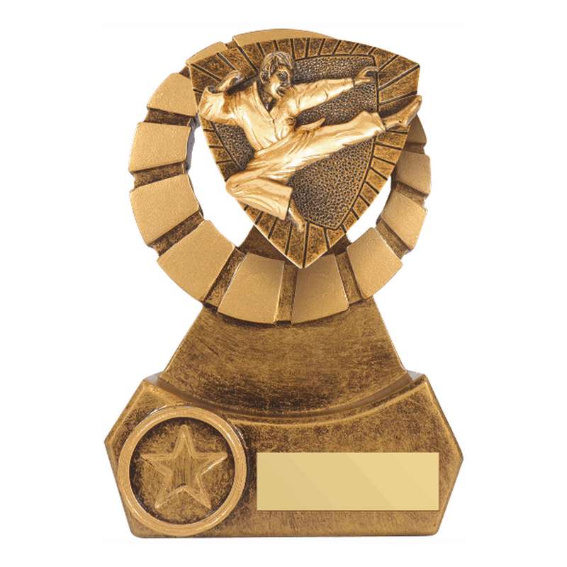 Antique Gold Resin Karate Award 140mm – Ant Gold