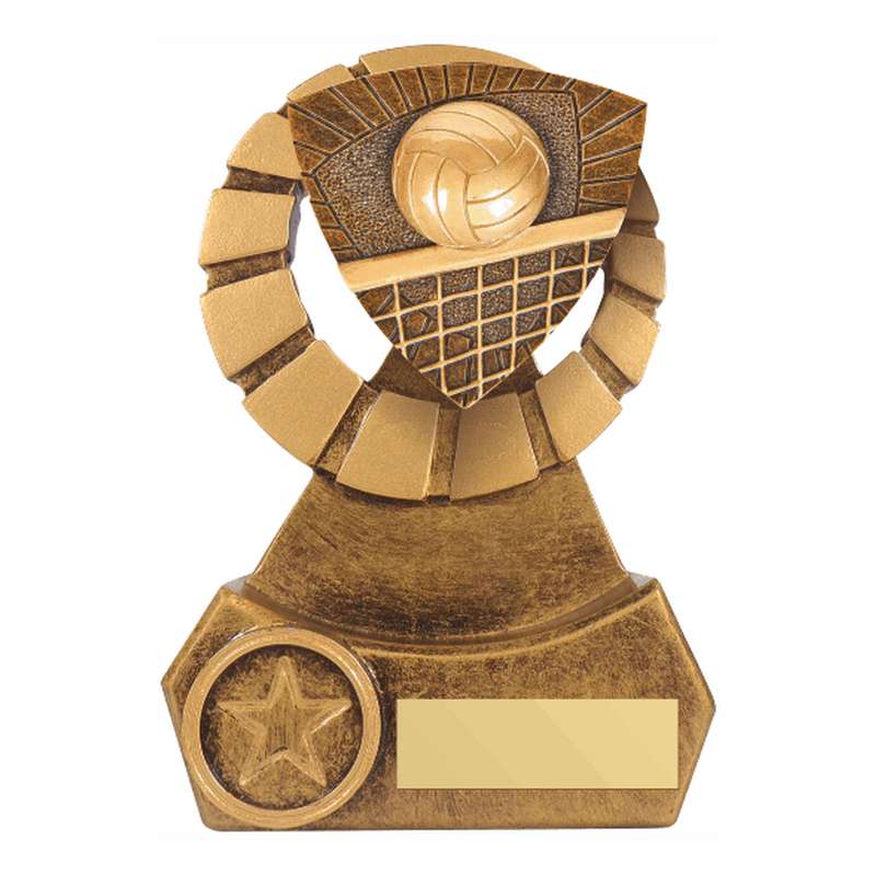 Antique Gold Resin Volleyball Award 140mm – Ant Gold