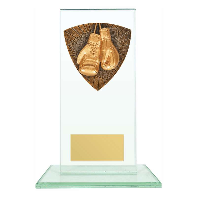 Jade Glass Stand Award with Resin Boxing Trim 160mm – Clear