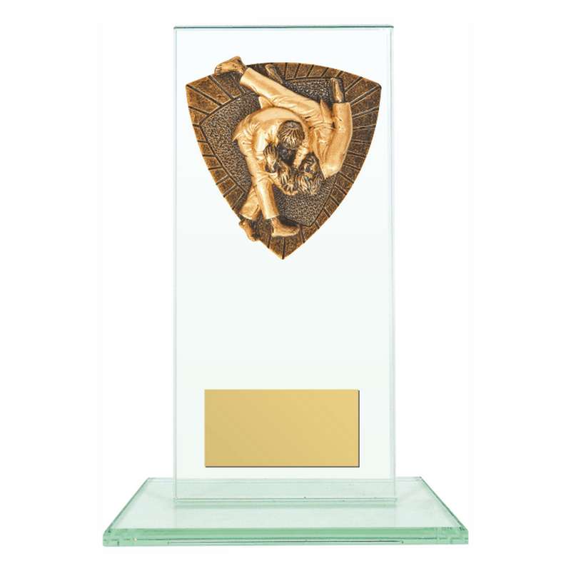 Jade Glass Stand Award with Resin Judo Trim 160mm – Clear