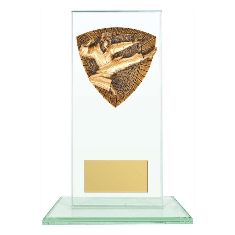 Jade Glass Stand Award with Resin Karate Trim 160mm – Clear