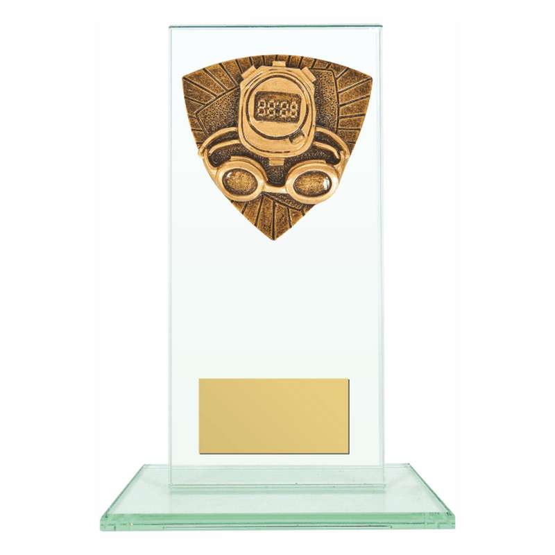 Jade Glass Stand Award with Resin Swimming Trim 160mm – Clear
