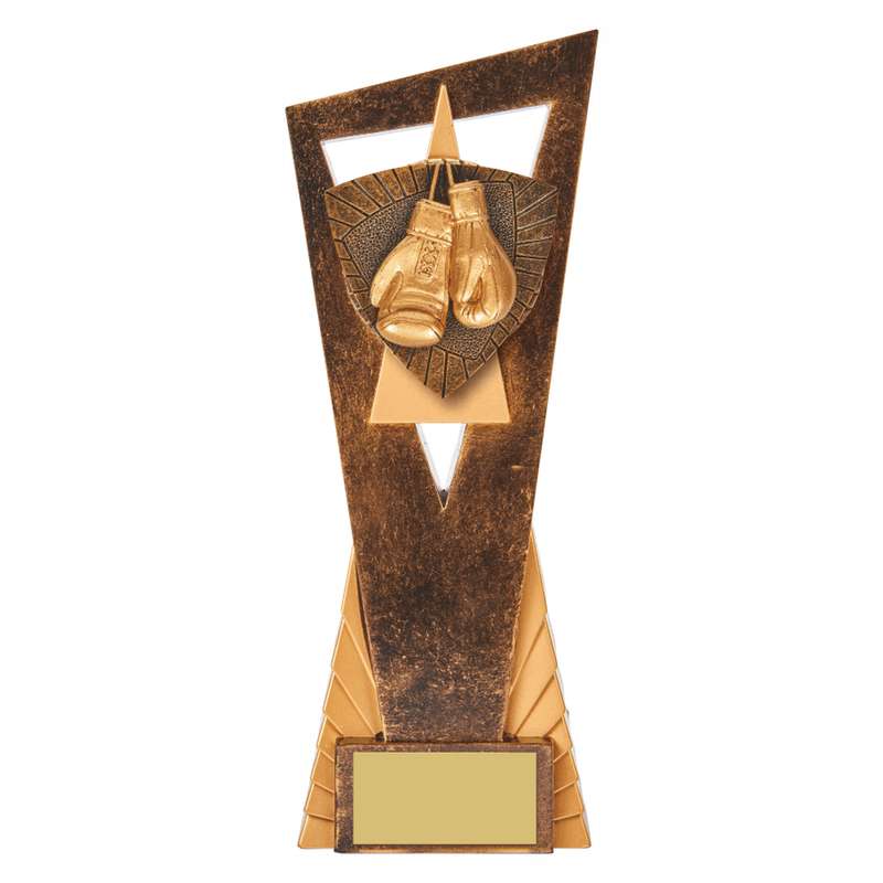 Antique Gold Edge Boxing Award 230mm – Ant Gold