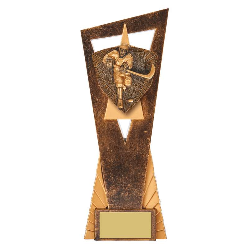 Antique Gold Edge Ice Hockey Award 230mm – Ant Gold