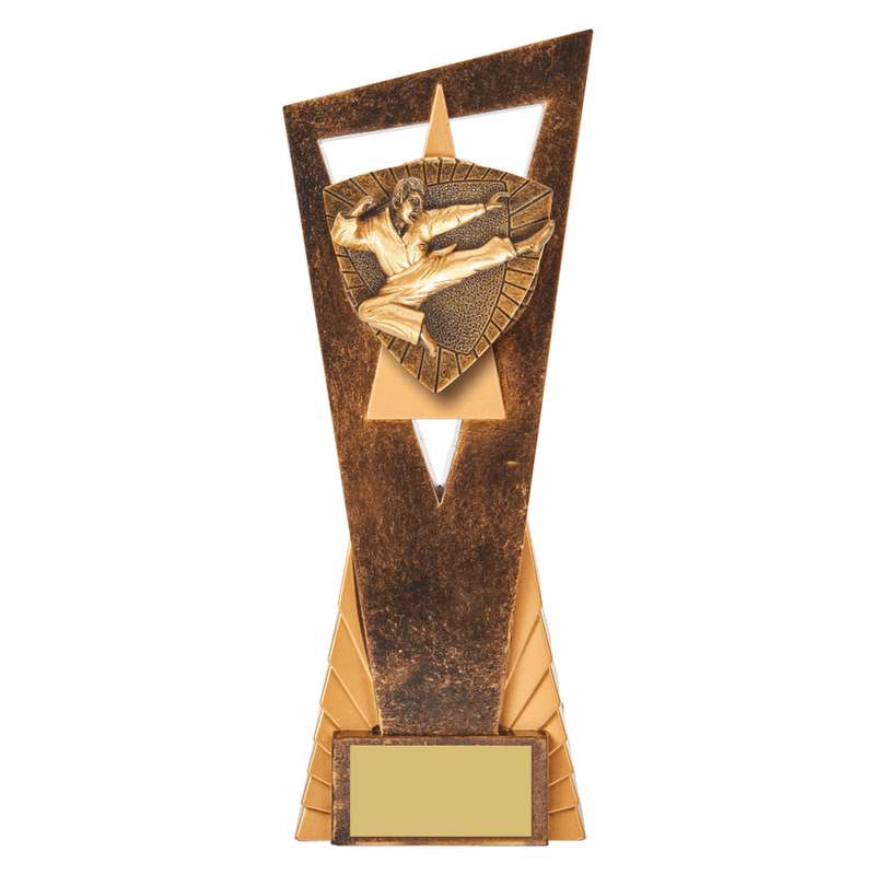 Antique Gold Edge Karate Award 230mm – Ant Gold