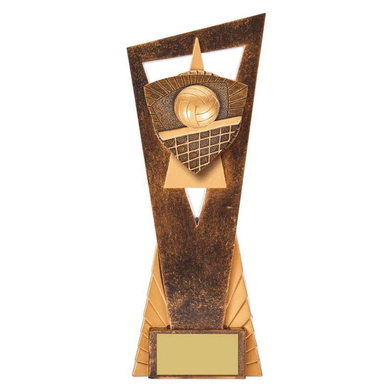 Antique Gold Edge Volleyball Award 230mm – Ant Gold