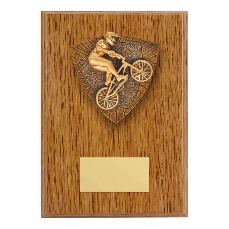 Wood Plaque with Resin BMX Trim 150mm – Light Oak