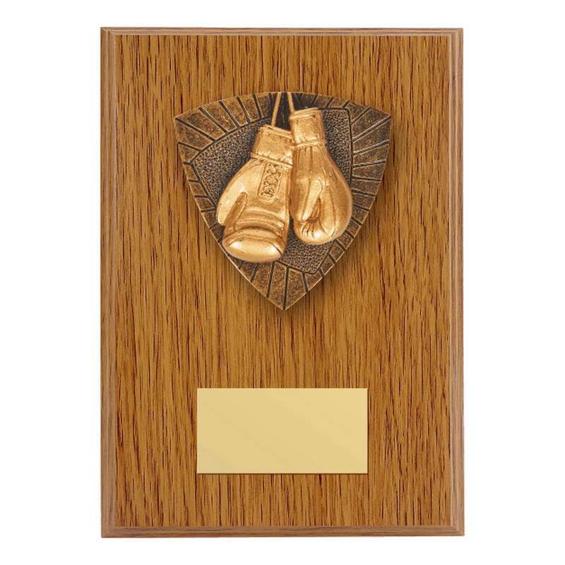 Wood Plaque with Resin Boxing Trim 150mm – Light Oak