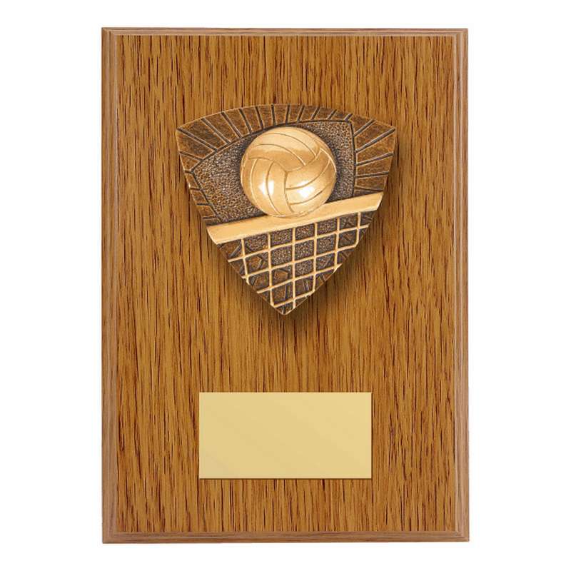 Wood Plaque with Resin Volleyball Trim 150mm – Light Oak